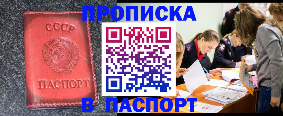 прописка для школы в Выборге